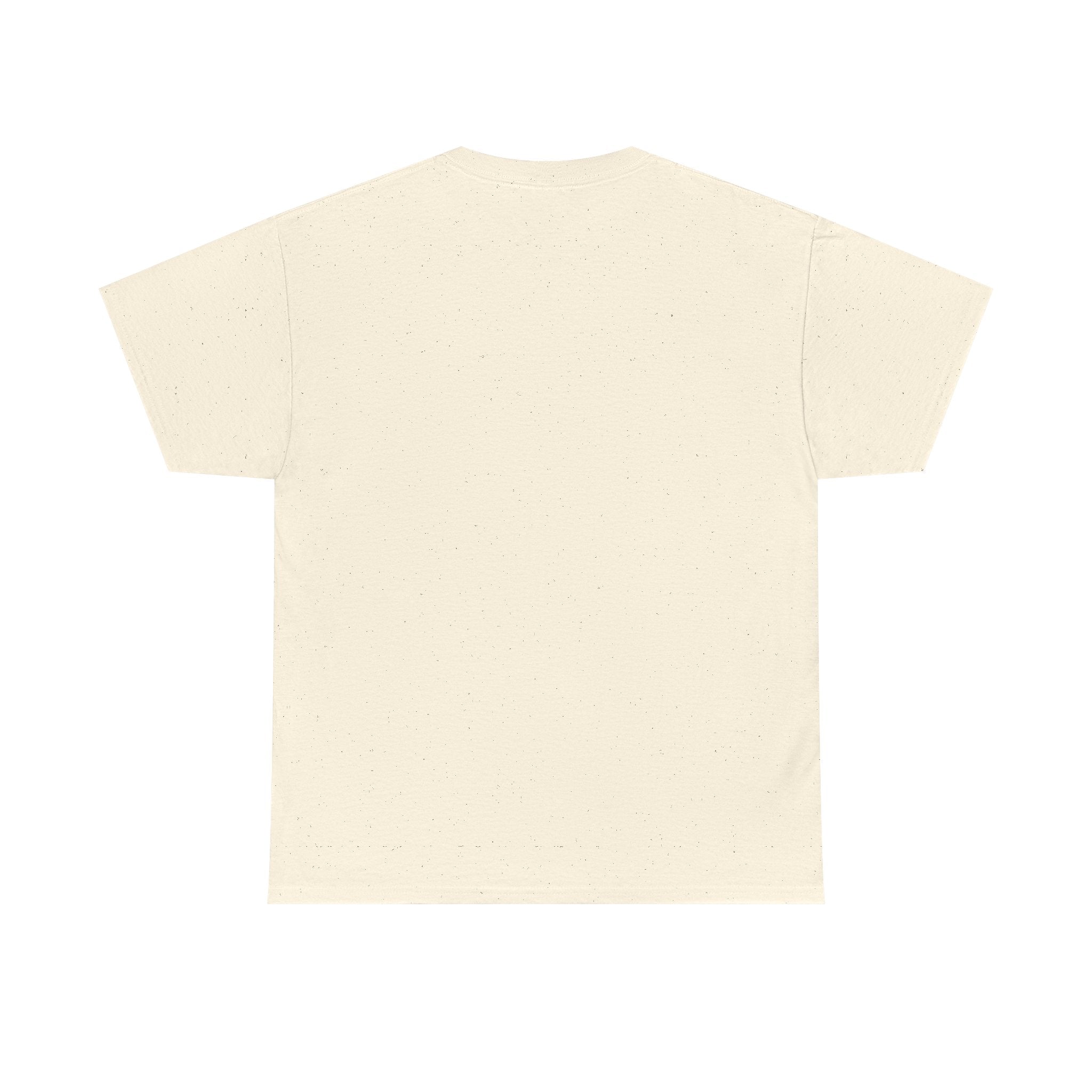 Impeach Landis Unisex Heavy Cotton Tee