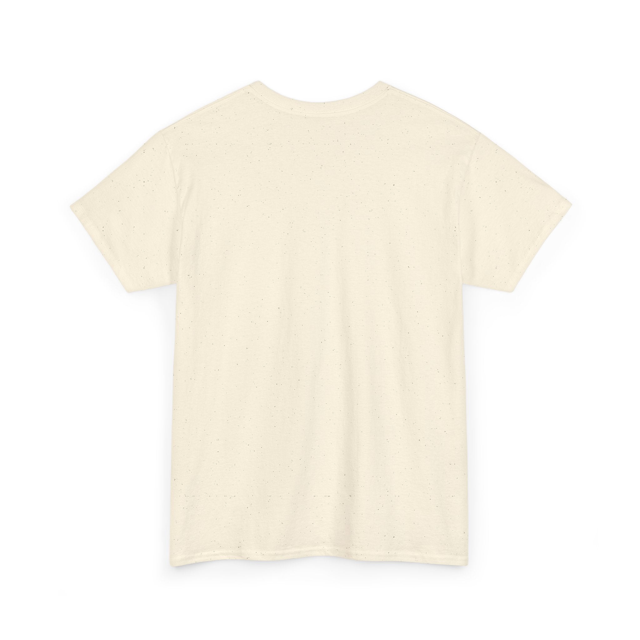 Impeach Landis Unisex Heavy Cotton Tee
